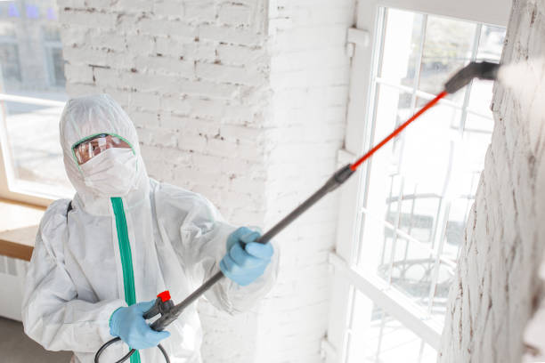 Best Mold Remediation for Vacation Homes  in Danielson, CT